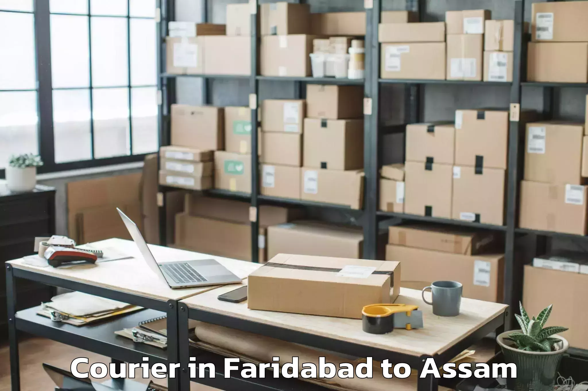 Hassle-Free Faridabad to Jamugurihat Courier